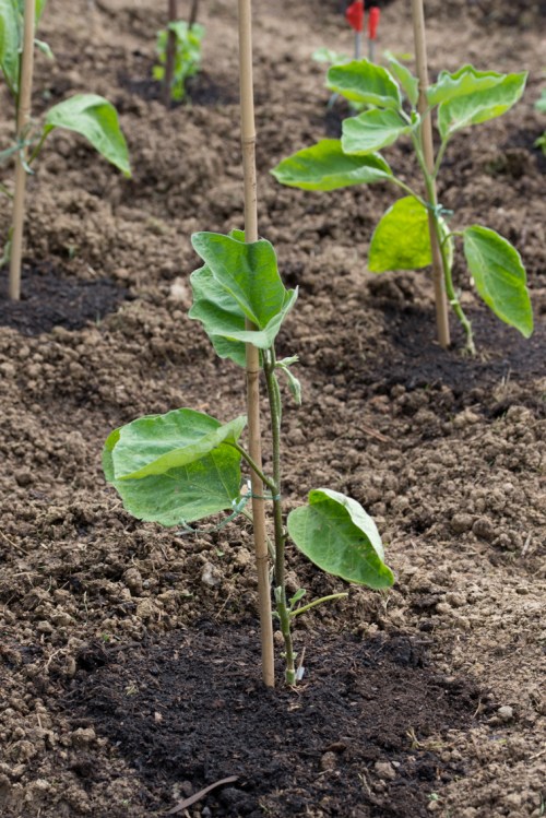 105 mm - ISO 100 - 1-125 Sek. bei f - 5,6 - NIKON D750-10