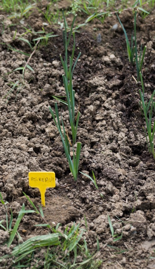 105 mm - ISO 100 - 1-125 Sek. bei f - 5,6 - NIKON D750-12