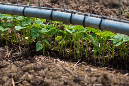 105 mm - ISO 100 - 1-125 Sek. bei f - 5,6 - NIKON D750-16