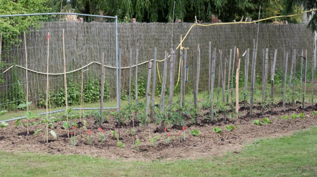 105 mm - ISO 100 - 1-125 Sek. bei f - 5,6 - NIKON D750-3