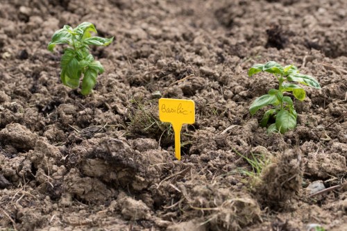 105 mm - ISO 100 - 1-125 Sek. bei f - 5,6 - NIKON D750-8