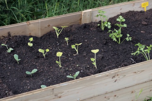 105 mm - ISO 100 - 1-125 Sek. bei f - 5,6 - NIKON D750