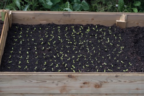 105 mm - ISO 100 - 1-160 Sek. bei f - 5,6 - NIKON D750-2