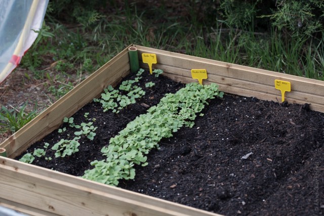 105 mm - ISO 100 - 1-160 Sek. bei f - 5,6 - NIKON D750