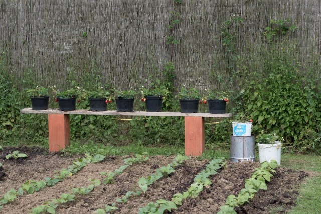 105 mm - ISO 400 - 1-1000 Sek. bei f - 7,1 - NIKON D750-2