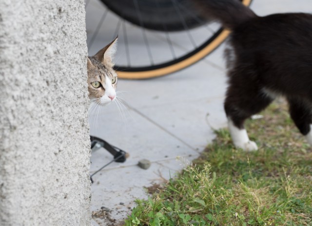 105 mm - ISO 800 - 1-500 Sek. bei f - 5,0 - NIKON D750-9