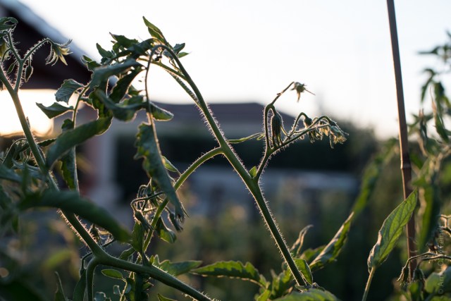 50 mm - ISO 500 - 1-500 Sek. bei f - 4,5 - NIKON D750