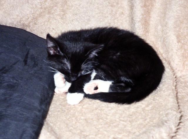 -  -  - Nikon COOLSCAN V ED-2