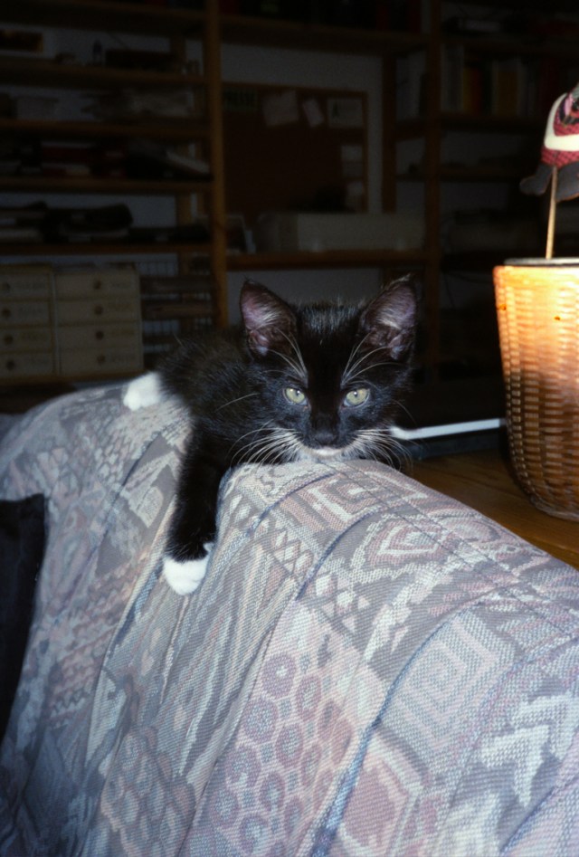 -  -  - Nikon COOLSCAN V ED