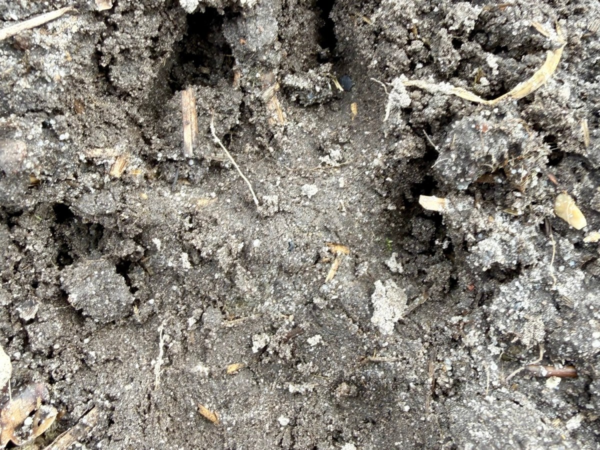 Spuren sichergestellt 😉